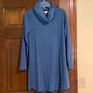 Knit Turtle Neck Dress
